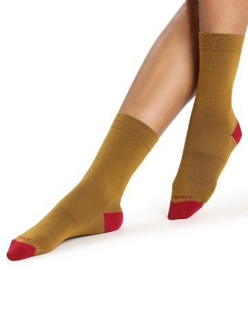 Women's Icebreaker Merino Lifestyle Fine Gauge Crew Socks Clove / Cherry | CA 1512SGLO